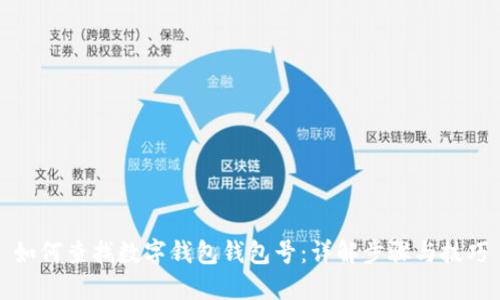 如何查找数字钱包钱包号：详解步骤与技巧