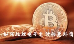 数字钱包断网：如何处理电子支付的意外情况与