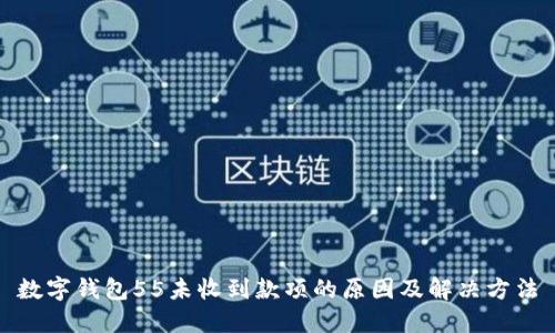数字钱包55未收到款项的原因及解决方法
