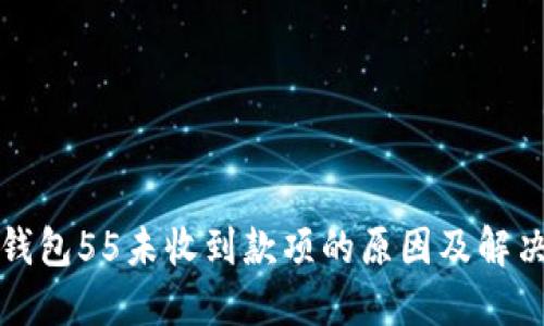 数字钱包55未收到款项的原因及解决方法