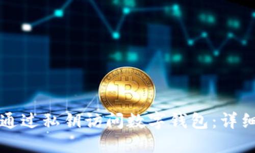 如何通过私钥访问数字钱包：详细指南