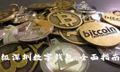 如何有效升级深圳数字钱包：全面指南与实用技巧