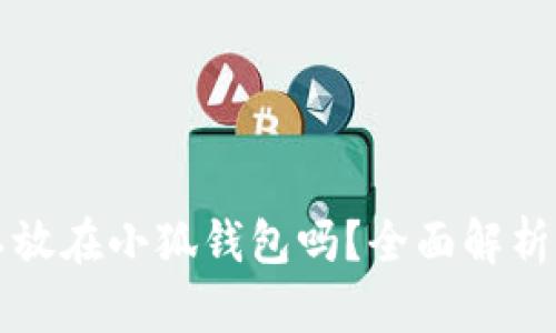 狗狗币可以放在小狐钱包吗？全面解析与使用指南
