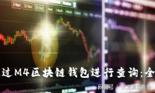 如何通过M4区块链钱包进行查询：全面指南
