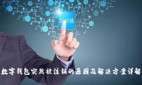数字钱包突然被注销的原因及解决方案详解