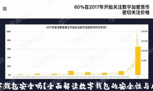 数字钱包安全吗?全面解读数字钱包的安全性与风险
