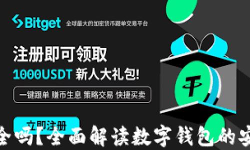 
数字钱包安全吗？全面解读数字钱包的安全性与风险