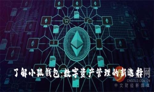 了解小狐钱包：数字资产管理的新选择