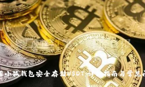 《如何使用小狐钱包安全存储USDT：详细指南与常见问题解答》