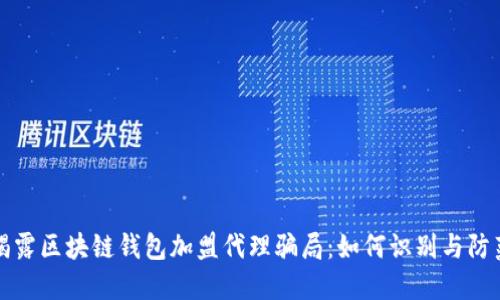揭露区块链钱包加盟代理骗局：如何识别与防范