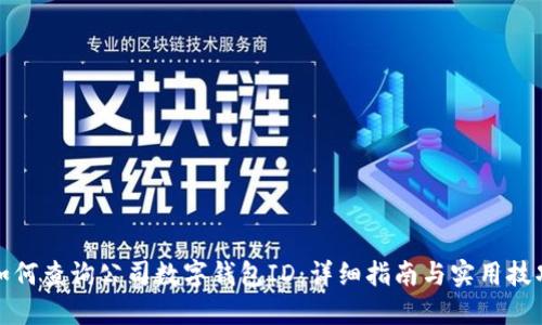 如何查询公司数字钱包ID：详细指南与实用技巧
