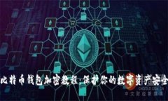 比特币钱包加密教程：保护你的数字资产安全