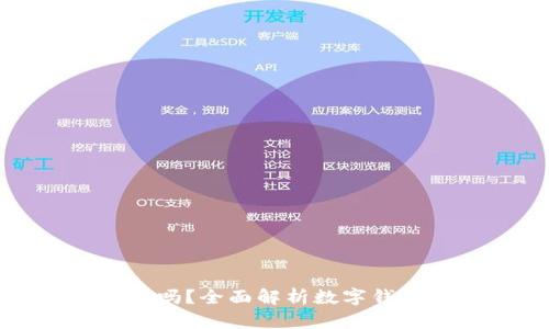 恒久科技数字钱包安全吗？全面解析数字钱包的安全性与防护措施