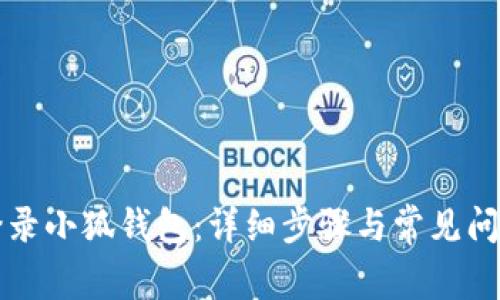 如何登录小狐钱包：详细步骤与常见问题解析