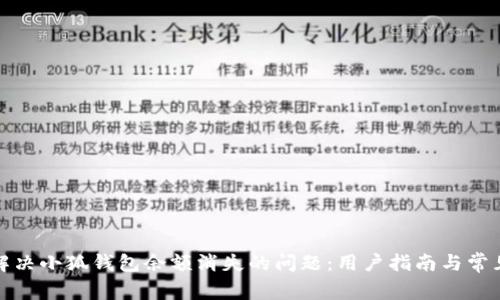 如何解决小狐钱包余额消失的问题：用户指南与常见问答