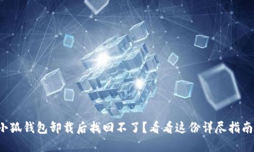 小狐钱包卸载后找回不了？看看这份详尽指南！
