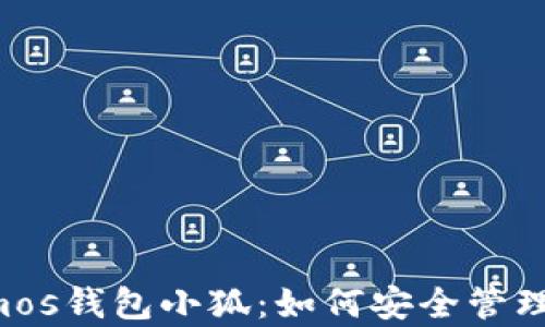 
全面解析Cosmos钱包小狐：如何安全管理你的加密资产