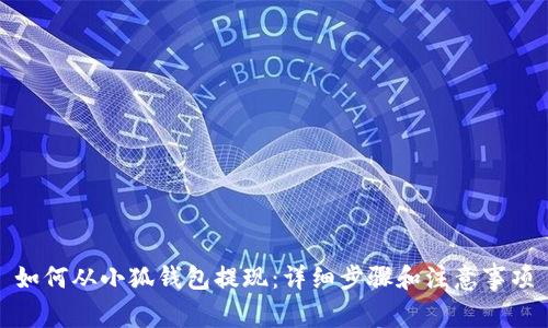 如何从小狐钱包提现：详细步骤和注意事项