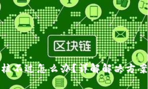 数字钱包审核不过怎么办？详解解决方案与常见问题