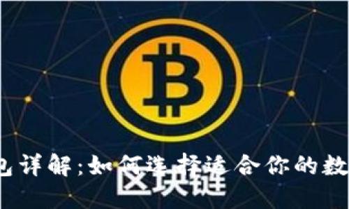 数字钱包详解：如何选择适合你的数字钱包？