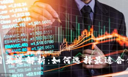 数字钱包应用渠道解析：如何选择最适合你的支付方式